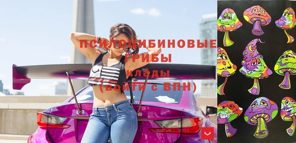 гидра Алексеевка