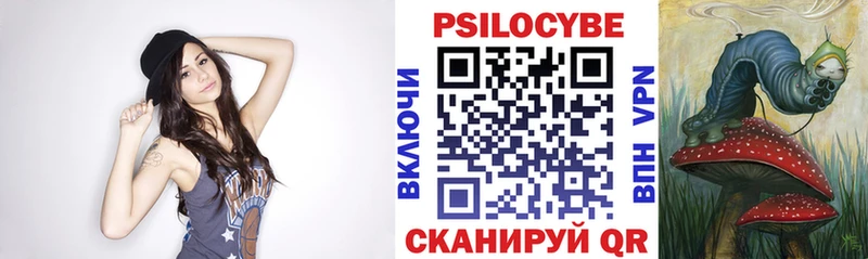 наркота  omg как зайти  Псилоцибиновые грибы ЛСД  Курчалой 