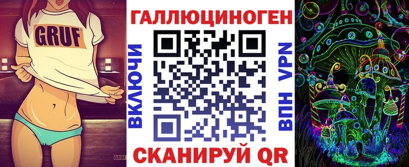 Галлюциногенные грибы Psilocybine cubensis Курчалой